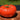 Champion Tomato