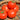 Celebrity Tomato