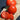 Arkansas Traveler Tomato