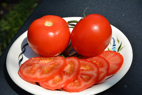 Burpee's Big Boy Tomato