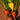 Touchstone Gold Beet