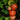 Big Beef Tomato
