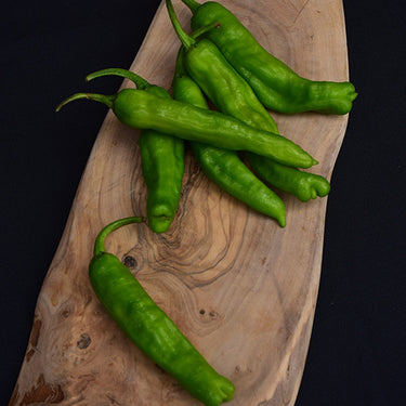 Shishito Pepper