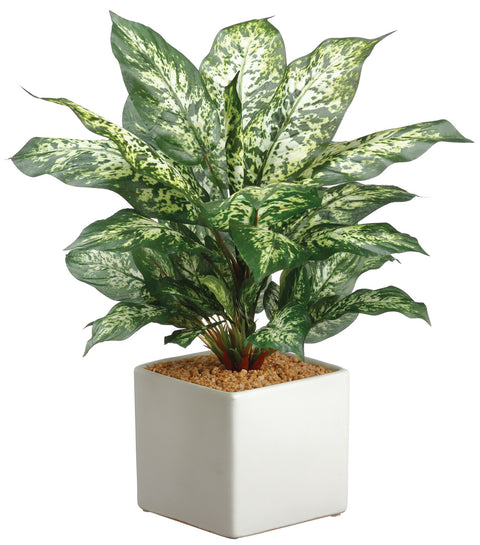 Faux Dieffenbachia Plant in Ceramic Pot Green Variegated - 17.75 inch