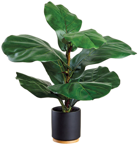 Faux Fiddle Leaf Plant in Ceramic Pot Green - 20 inch
