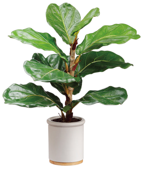 Faux Fiddle Leaf Plant in Ceramic Pot Green - 17 inch