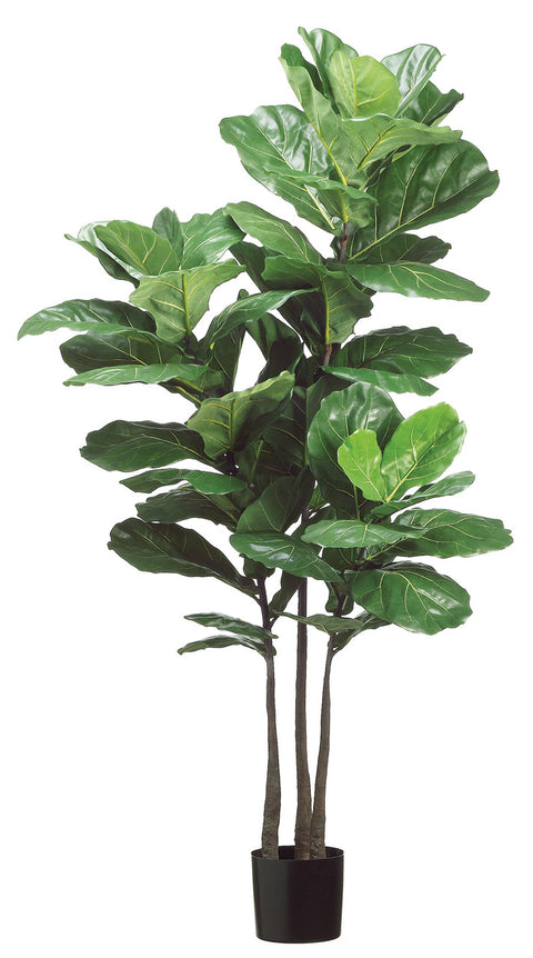 Faux Fiddle Leaf Plant in Pot Green - 70 inch