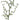 Faux Curly Twig Branch Green - 30 inch