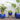 Low Milano Planter, Falling Blue - 16" X 12"