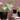 Low Tapper Garden Pot, Black - 18" X 16"