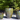 Net Printed Urn Planter, Tropical Green - 14" X 17"