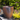 Laguna Square Planter, Ember - 11" X 13"