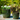 Zaragoza Planter With Attached Saucer, Tropical Green - 11.5'' X 10''