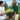 In-Store Personal Shopper Service eGift Card