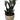 Raven ZZ Plant