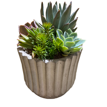 Empire Succulent Planter