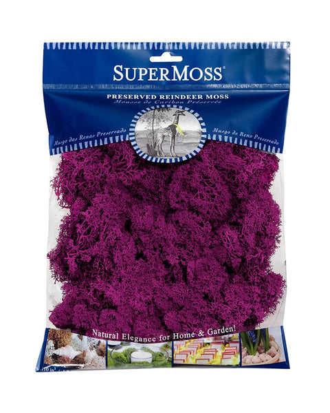 SuperMoss Reindeer Moss Preserved Fuchsia - 4oz