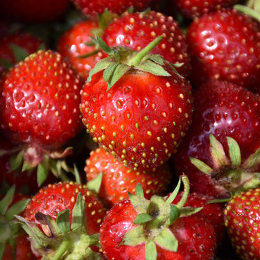 Strawberry Eversweet