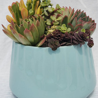 Imprint Soft Blue Succulent Planter