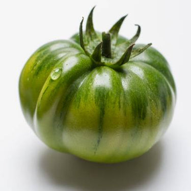 Cherokee Green Tomato