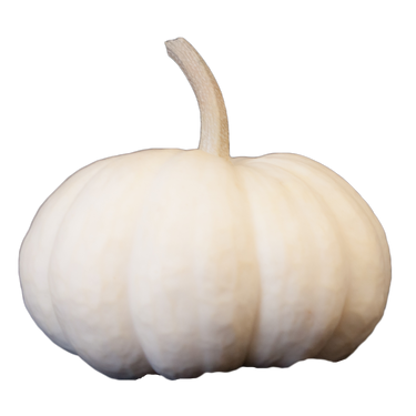 White Mini Pumpkin