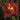 Ketchup And Mustard Rose