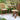 Eucalyptus Square Bistro Set - 3 Piece