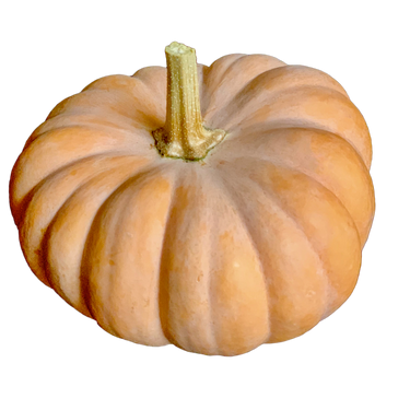 Mini Fairytale Pumpkin