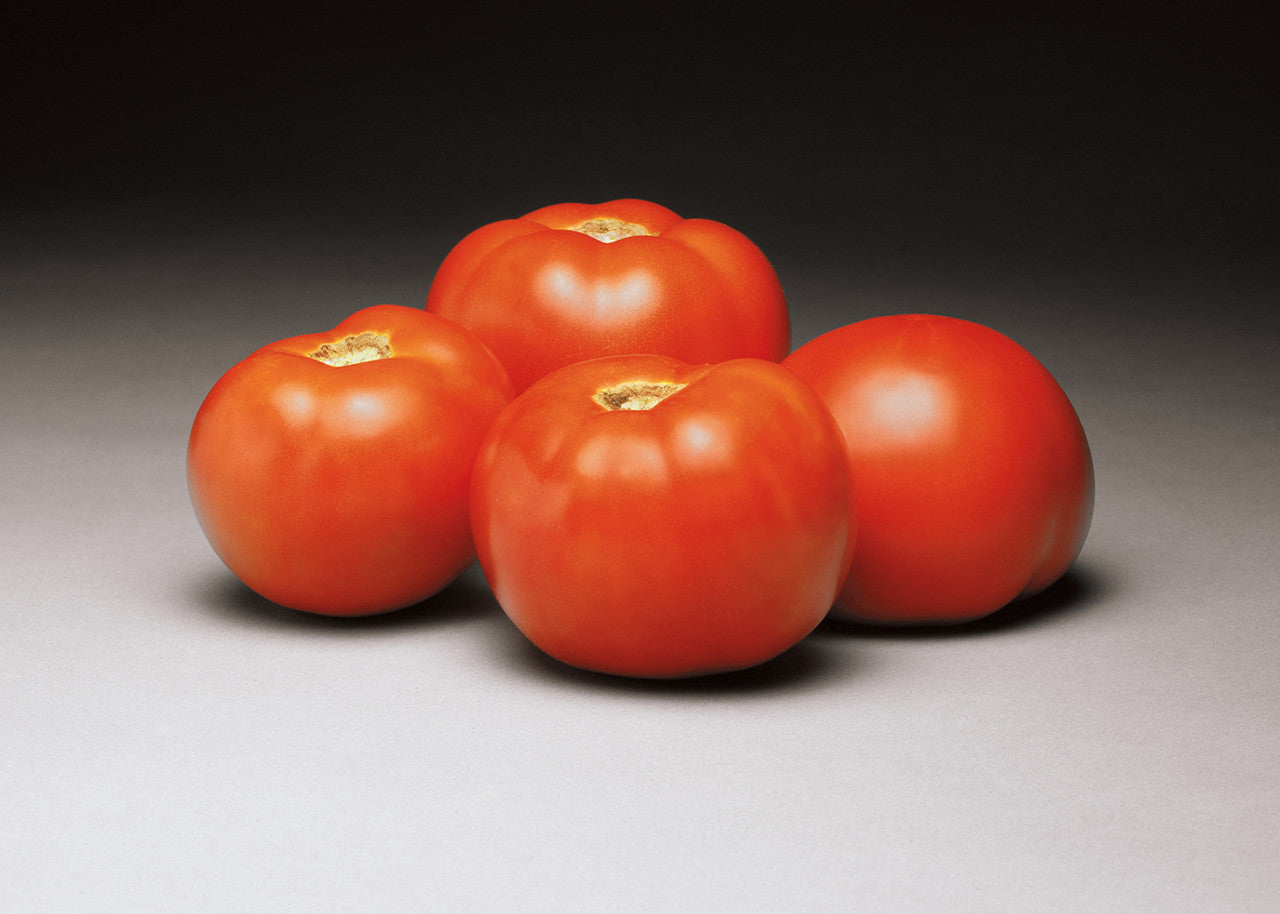 Better Bush Tomato – Armstrong Garden Centers