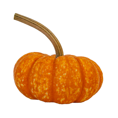 Sparkler Mini Pumpkin