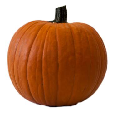 Orange Carving Jackpot Pumpkin