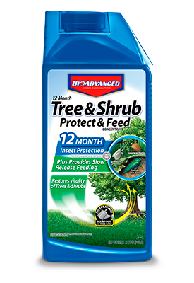 Bayer 12 Month Tree & Shrub Protect & Feed Concentrate - 32 oz