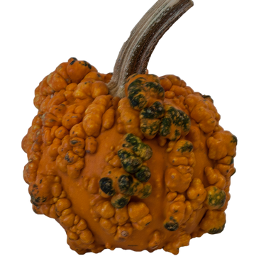 Orange Round Warty Minion Pumpkin