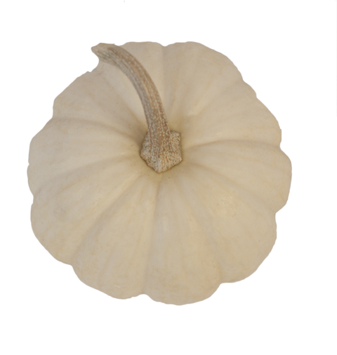 White Mini Pumpkin