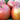Red Fuji Apple