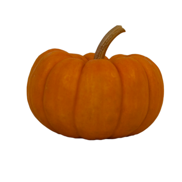 Orange Mini Pumpkin
