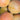 Gold Kist Apricot