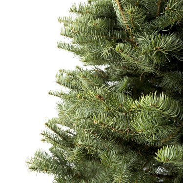 Noble Fir Cut Christmas Tree