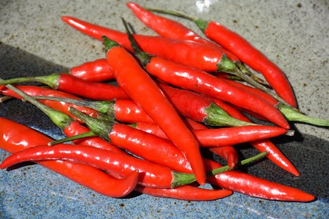 Chile Thai Pepper