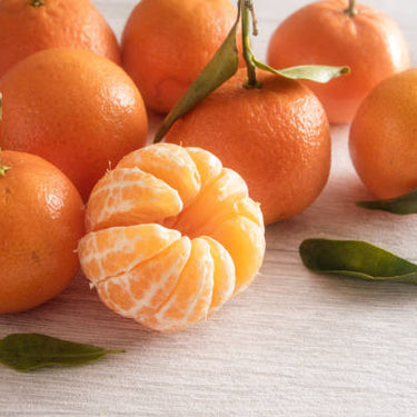 Satsuma Mandarin Tree Form