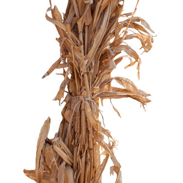 Cornstalk Bundle - 12/bundle