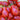 Red Pear Tomato