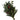 Green Holly Bunch