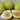 Fig Janice Seedless Kadota