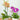 Darling Duo Orchid Arrangment