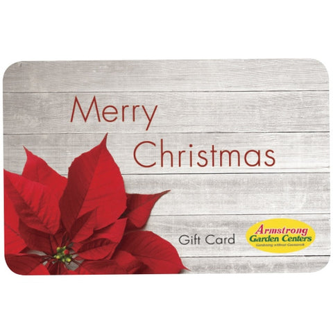 Digital Christmas Poinsettia eGift Card
