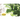 Digital Fiddle Leaf Fancy eGift Card