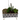 Hex Succulent Planter