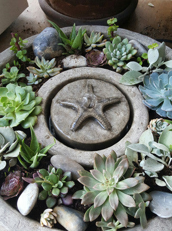 Starfish Vera Fountain, Small