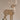 Mule Deer Buck
